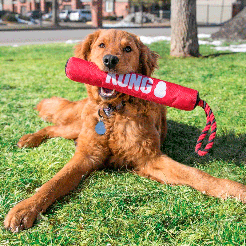 Kong Juguete para Perro Palo para Morder y Lanzar Kong Juguete para Perro Palo para Morder y Lanzar